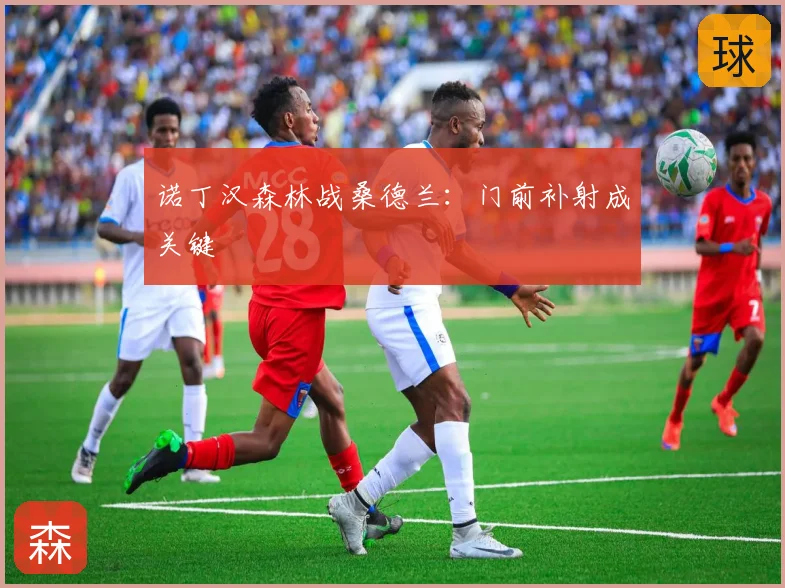 诺丁汉森林战桑德兰：门前补射成关键