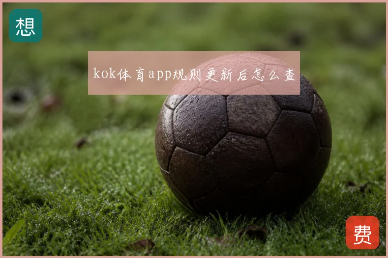 kok体育app规则更新后怎么查